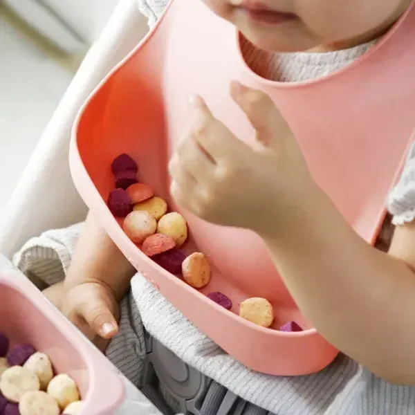 Food Grade Silicone Child Dish - Baby Food Diary ulasan dan harga