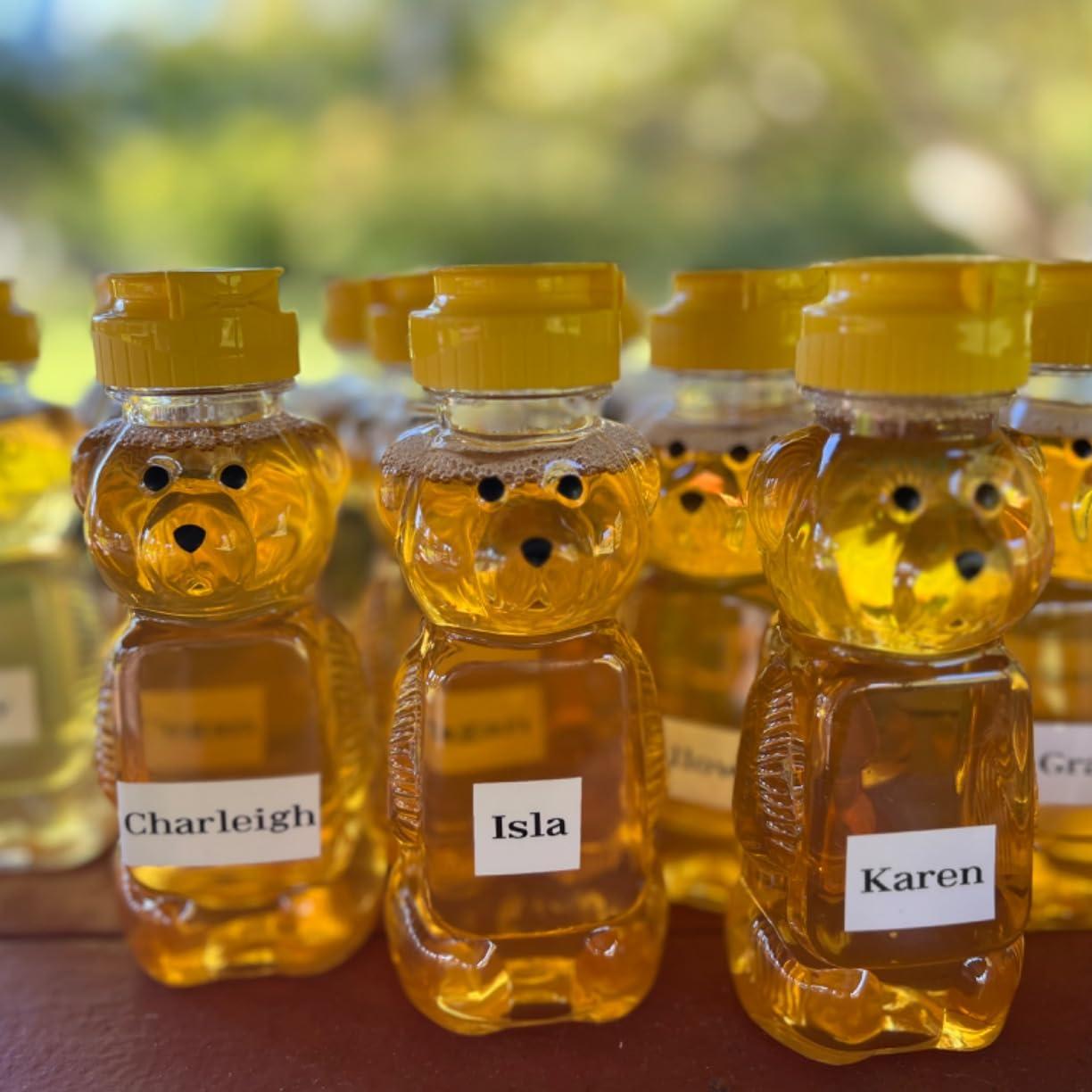 12-36pcs Plastic Bear Honey Ja - Baby Food Jars ulasan dan harga
